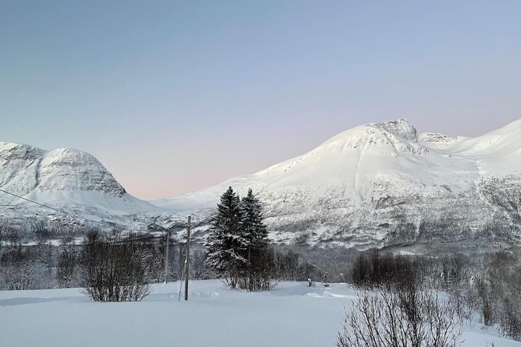 Mountainside Lodge - Breivikeidet 特罗姆瑟 外观 照片