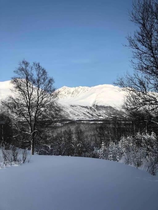 Mountainside Lodge - Breivikeidet 特罗姆瑟 外观 照片