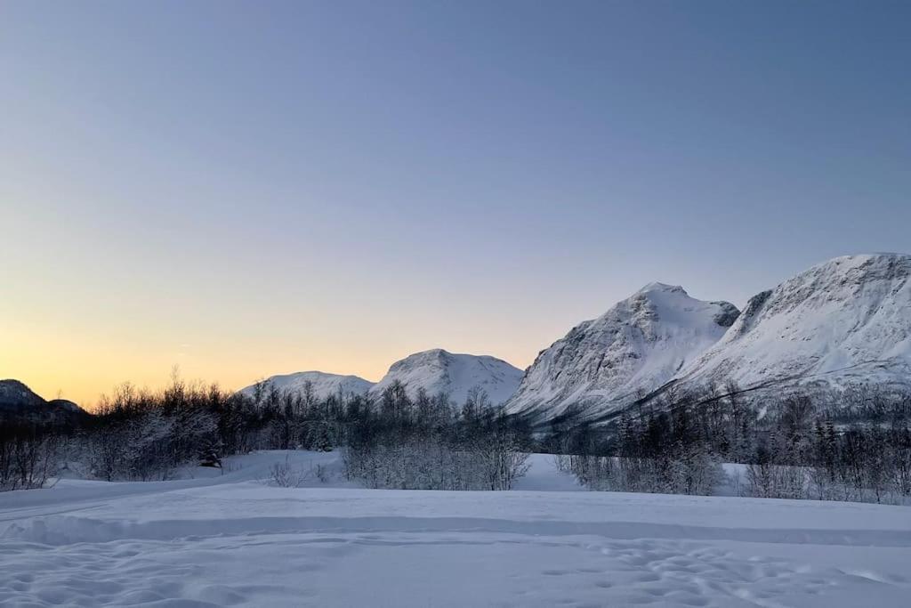 Mountainside Lodge - Breivikeidet 特罗姆瑟 外观 照片