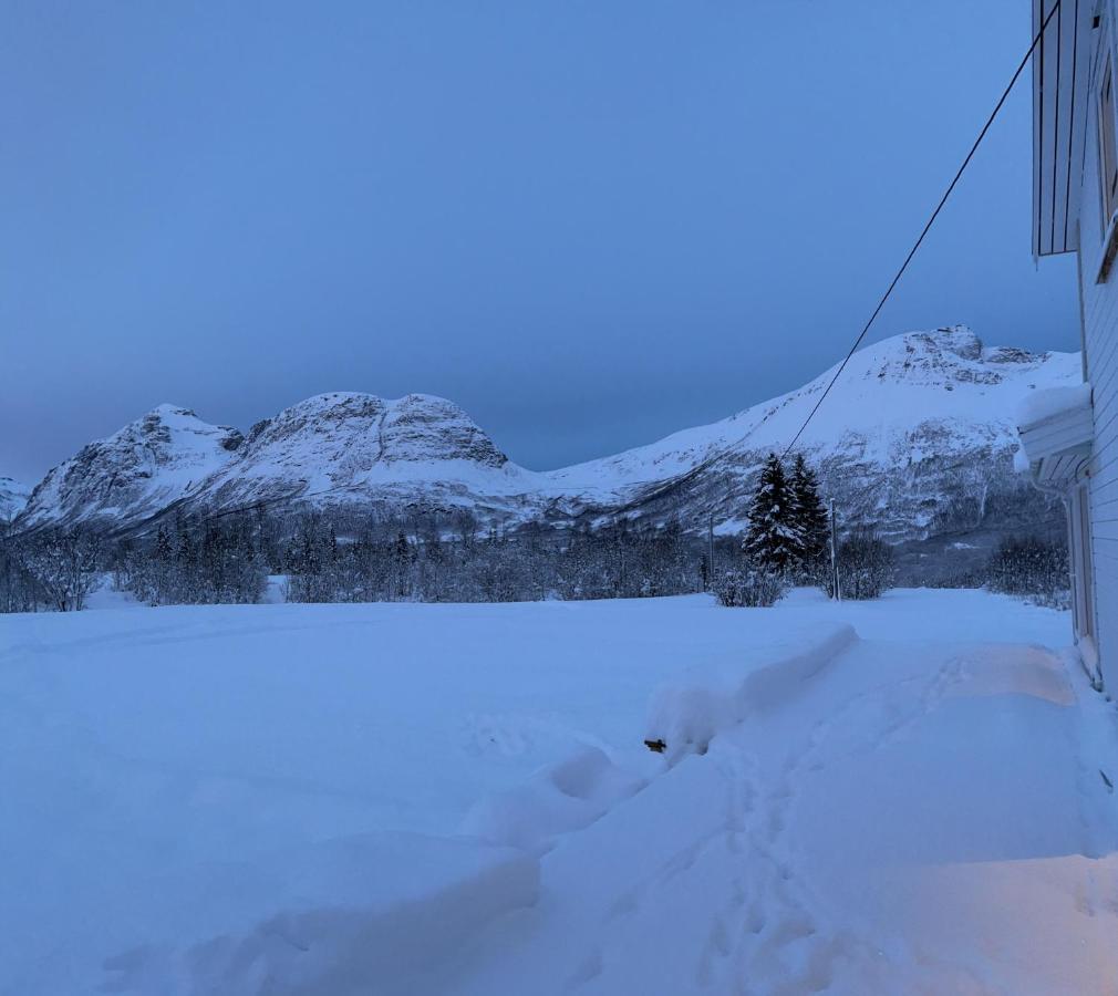 Mountainside Lodge - Breivikeidet 特罗姆瑟 外观 照片