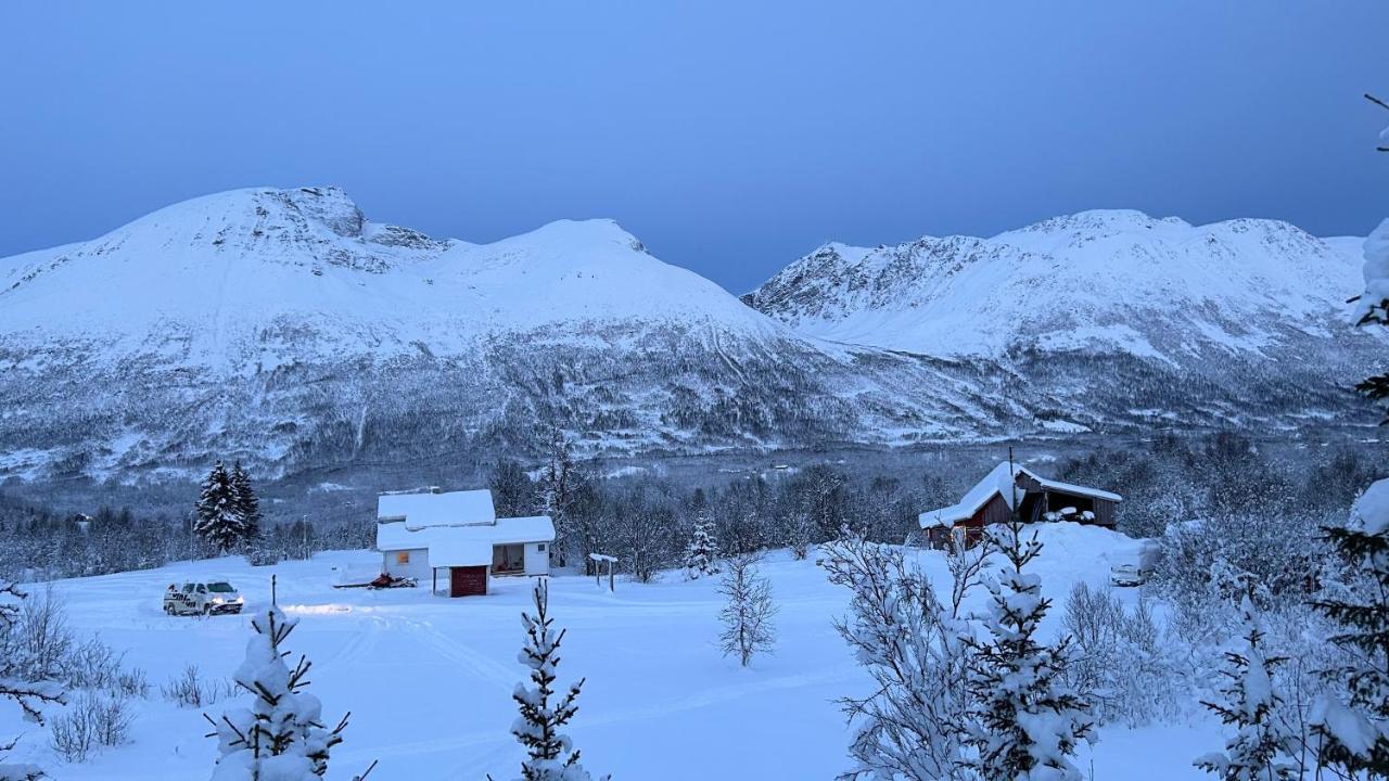 Mountainside Lodge - Breivikeidet 特罗姆瑟 外观 照片