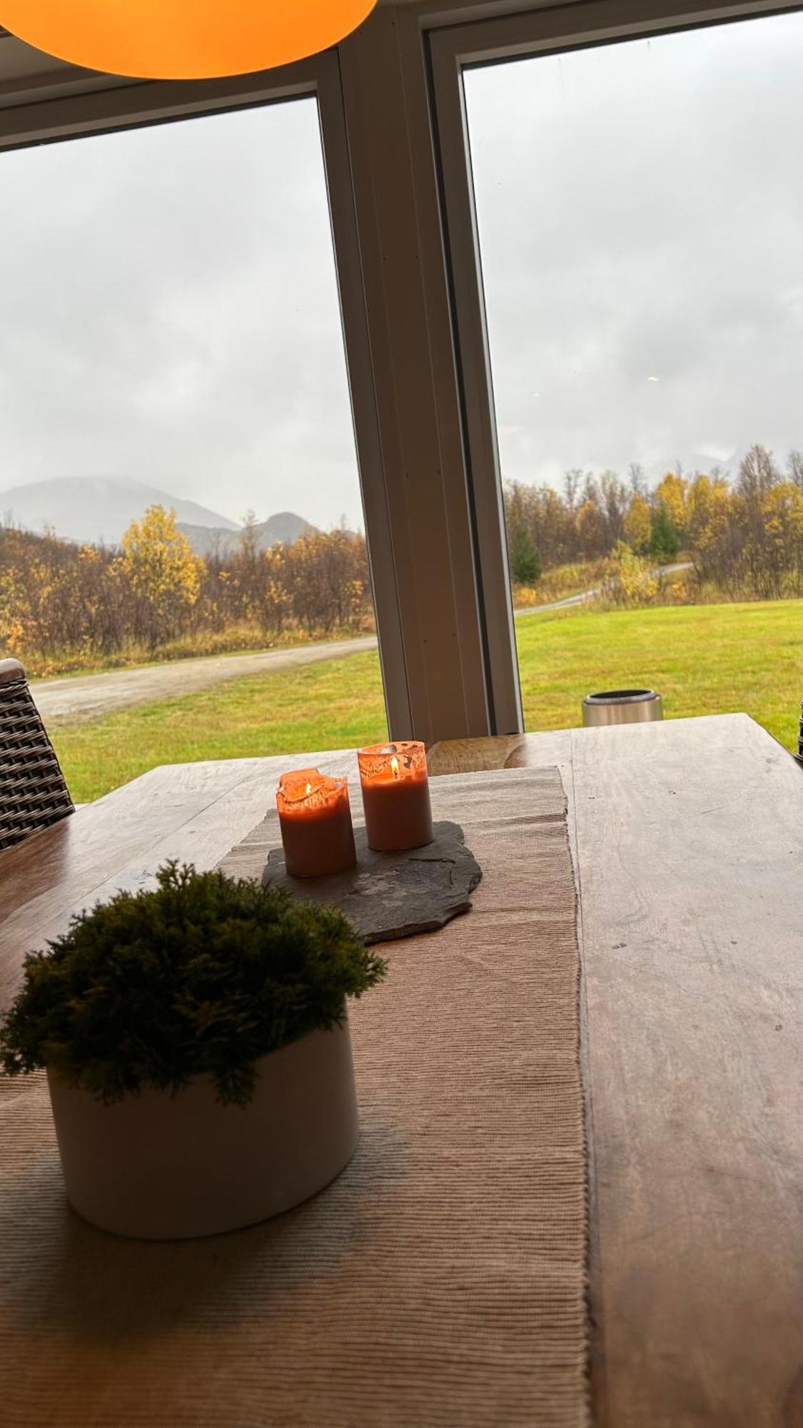 Mountainside Lodge - Breivikeidet 特罗姆瑟 外观 照片